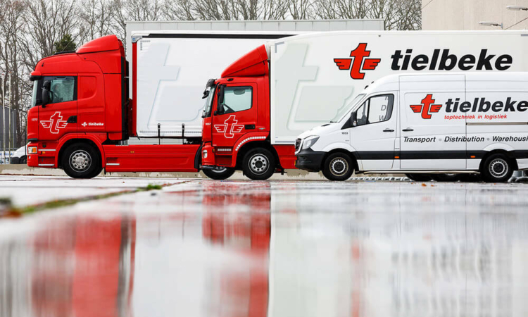 Beeld Tielbeke