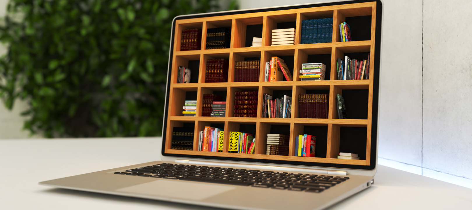 Webshops
